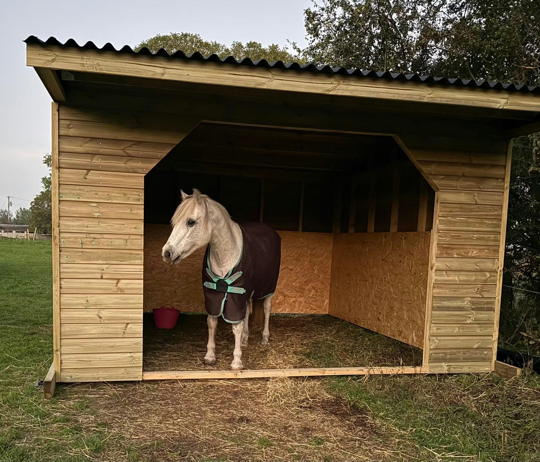 Field Shelters for Retired Horses: What to Consider